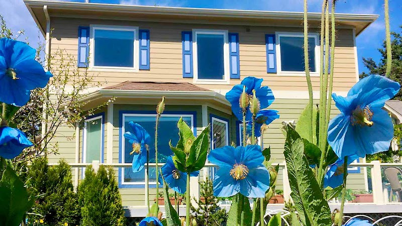 Cliff House Bed and Breakfast in Kodiak, Alaska, United States
