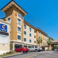 Comfort Inn And Suites