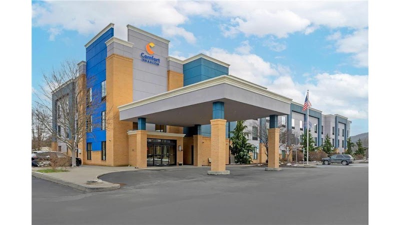 Comfort Inn & Suites in Sayre, Pennsylvania, United States