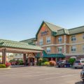 Comfort Inn & Suites Fayetteville