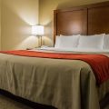 Comfort Inn & Suites Morgan City