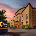 Comfort Inn & Suites Pittsburgh
