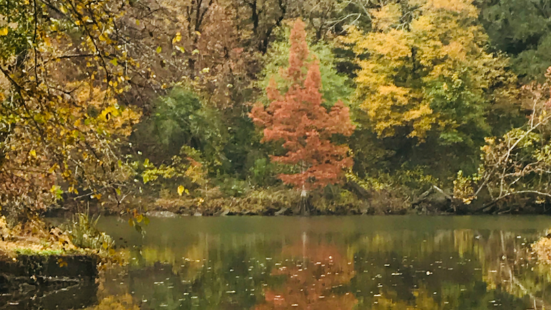 Copper Creek Cabins in Broken Bow, Oklahoma, United States