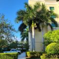 Courtyard by Marriott Miami Homestead