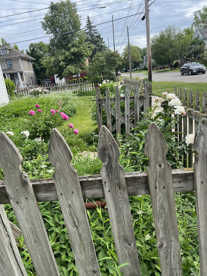 Cozy Koi Bed & Breakfast in Grand Ledge, Michigan, United States