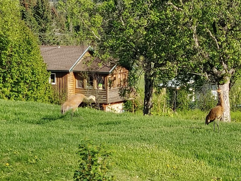 Crane's Rest in Homer, Alaska, United States
