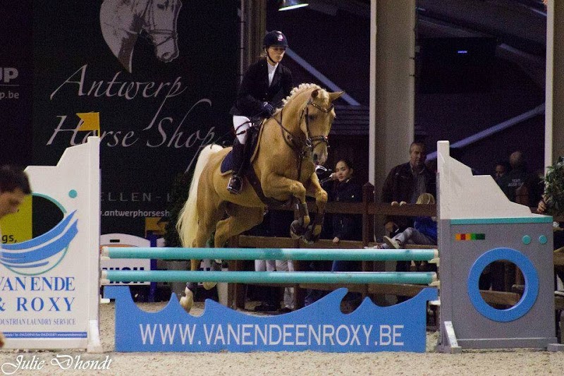 De Zilveren Paarden in Aarschot, Belgium