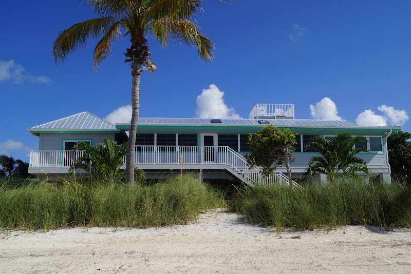 Deer Run on the Atlantic in Big Pine Key, Florida, United States