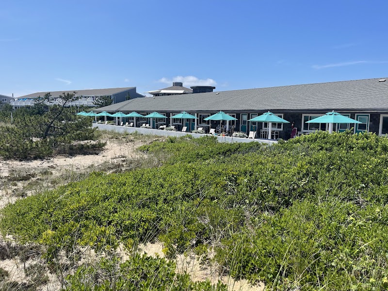 Driftwood on the Ocean in Montauk, New York, United States