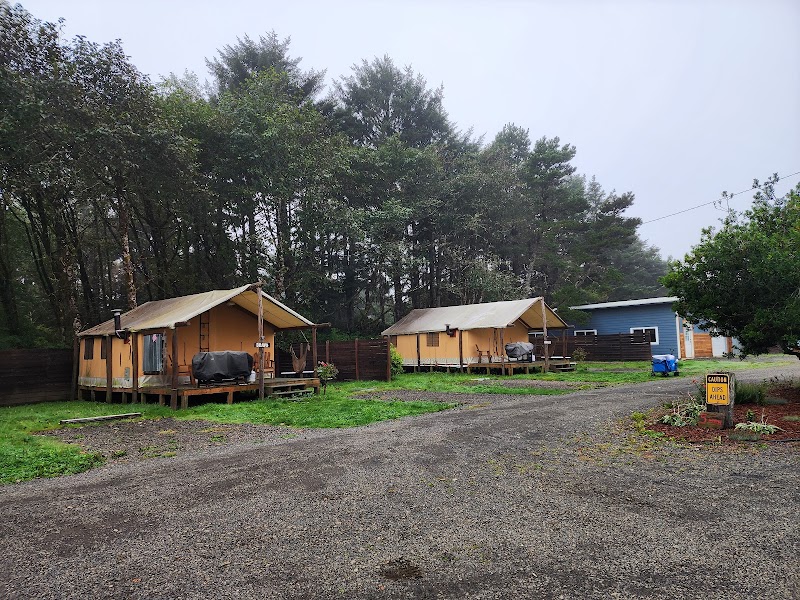 Dunes By The Ocean in Ocean Shores, Washington, United States
