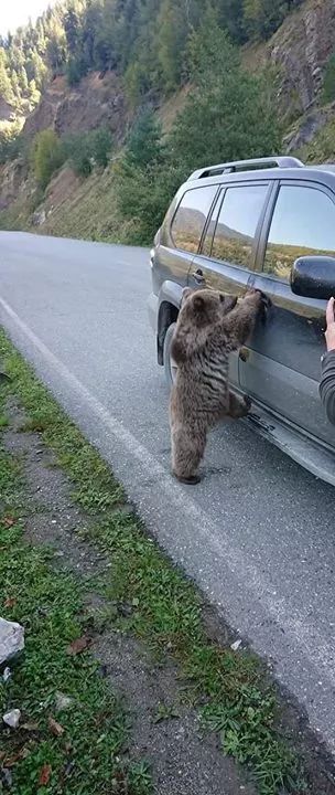 Economy Inn in Clarksville, Arkansas, United States