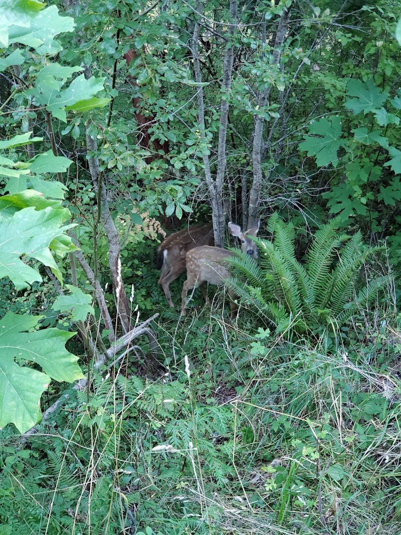 Elwha Ranch Bed and Bath in Port Angeles, Washington, United States