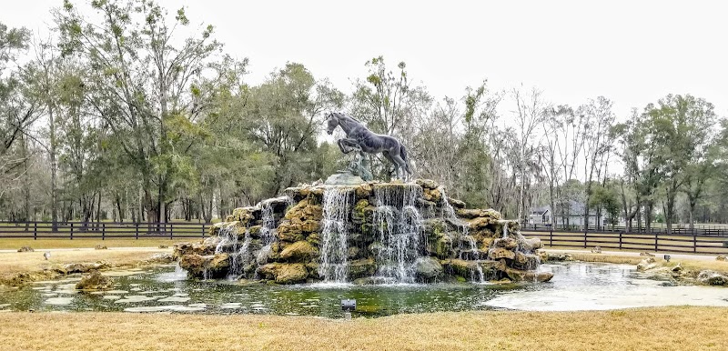 Equestrian Springs in Ocala, Florida, United States