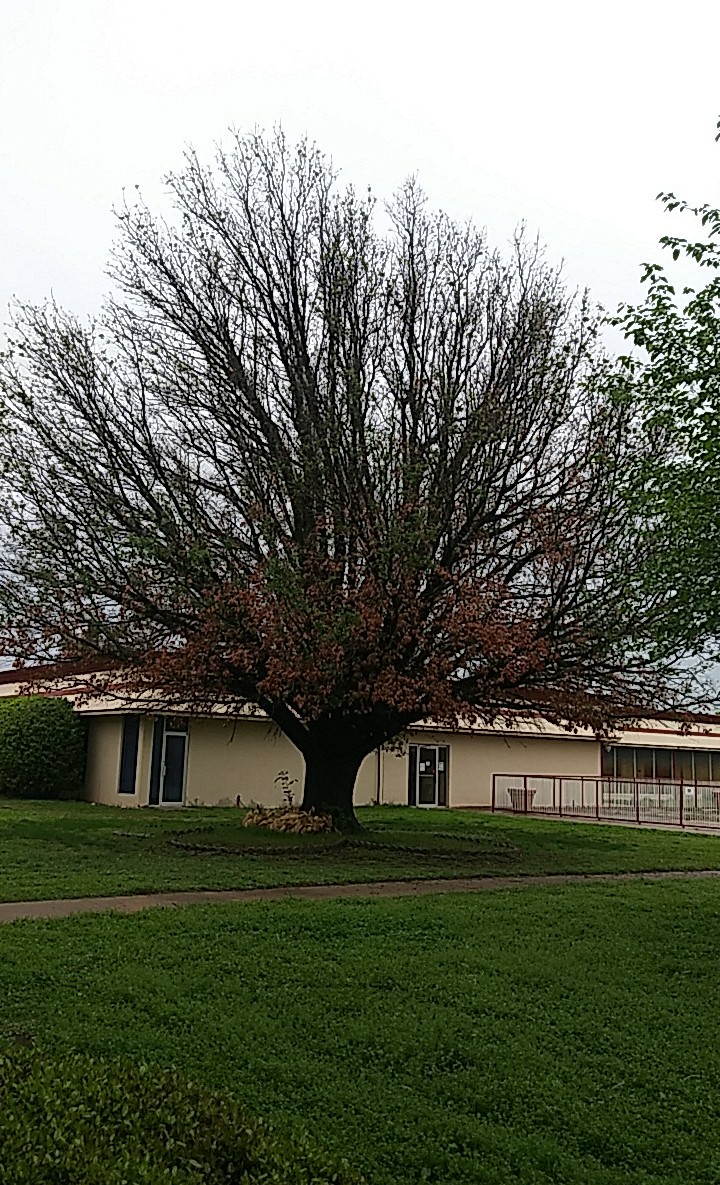 Executive Inn Hotel & Conference Center in Lawton, Oklahoma, United States