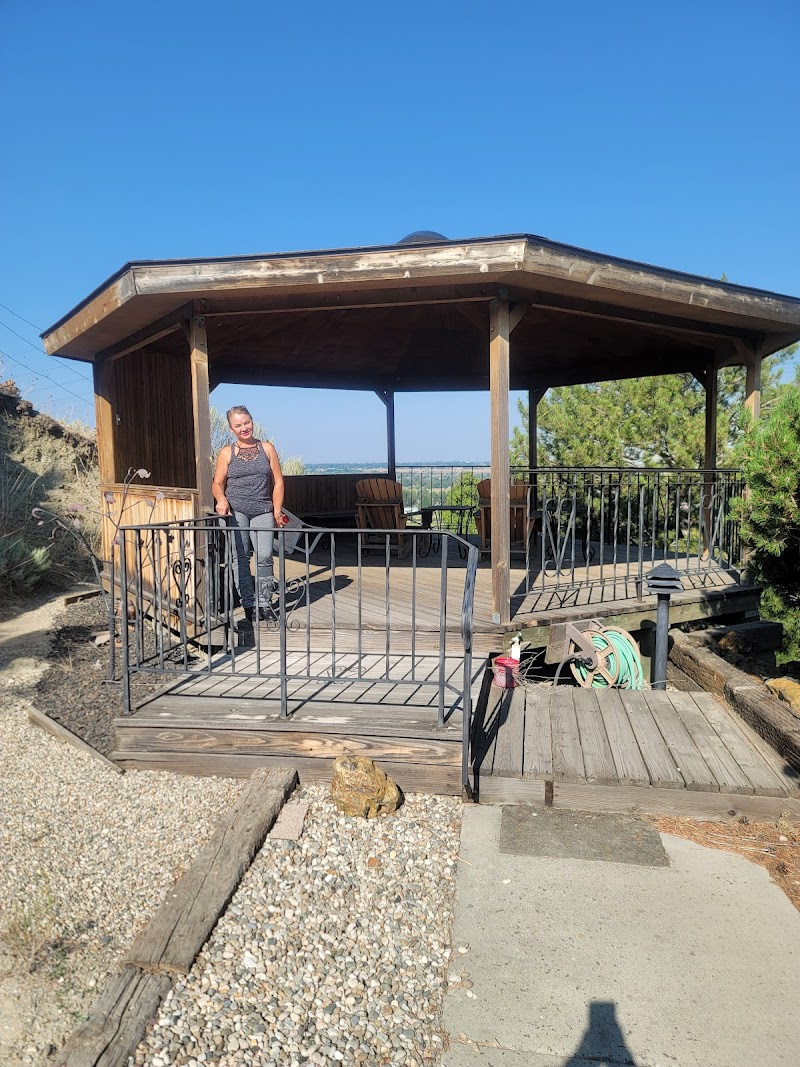Frozen Dog Digs in Emmett, Idaho, United States