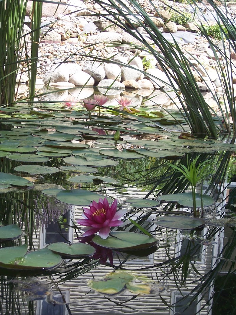 Green Belt Bed & Breakfast in Ames, Iowa, United States