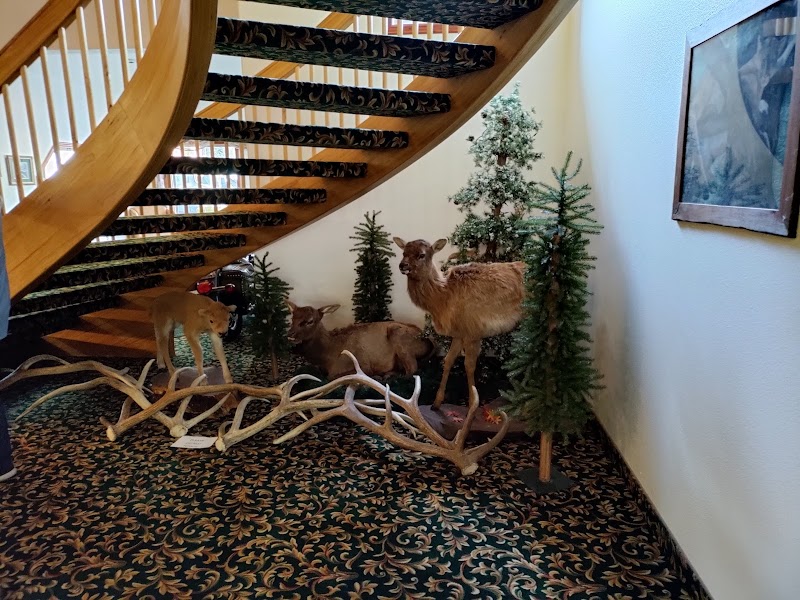 Greenwood Village Inn and Suites in Kalispell, Montana, United States