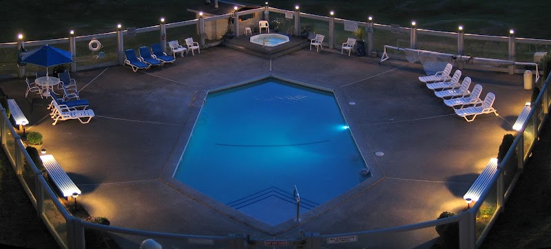 Grey Gull in Ocean Shores, Washington, United States
