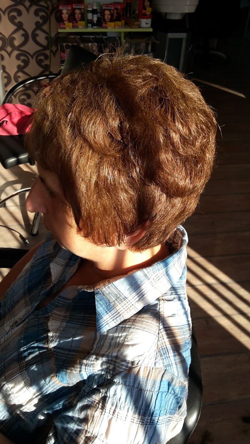 Guest House Delieva in Berkovitsa, Bulgaria