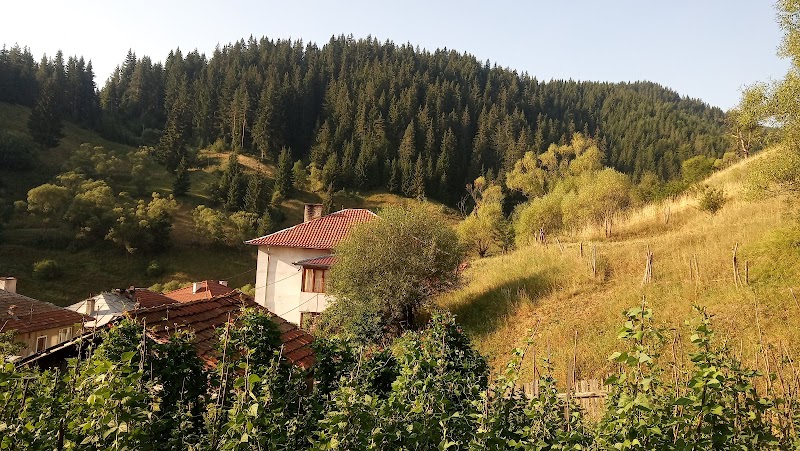 Guest House Zora in Dospat, Bulgaria