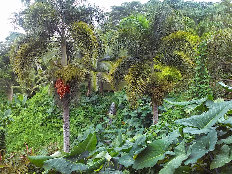 Hale Lani Bed and Breakfast in Kapaa, Hawaii, United States