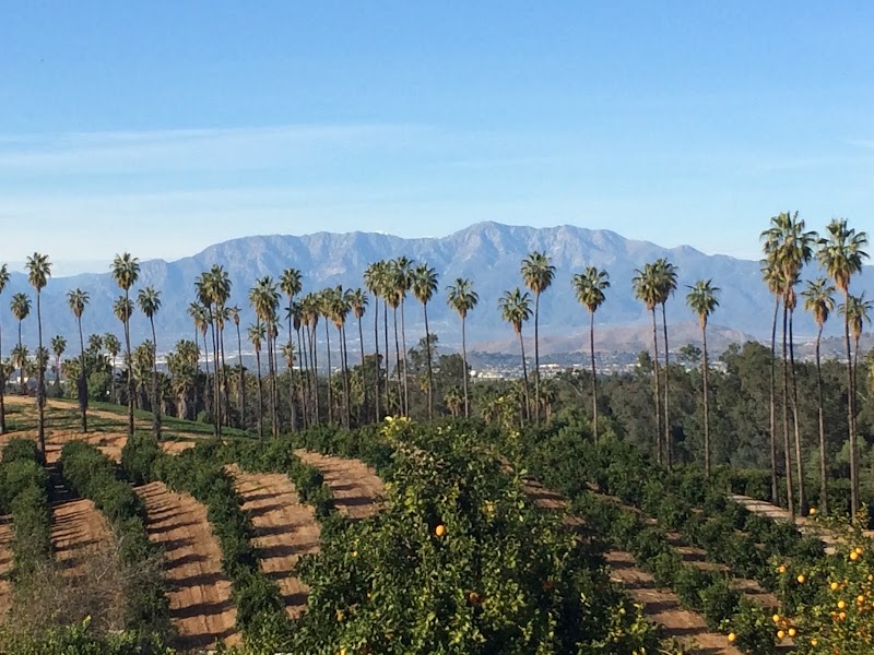 Historic Citrus House in Riverside, California, United States