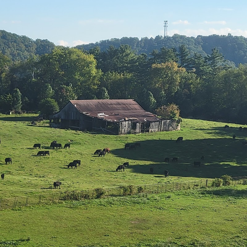 Holiday Inn Express & Suites Abingdon, an IHG Hotel in Abingdon, Virginia, United States