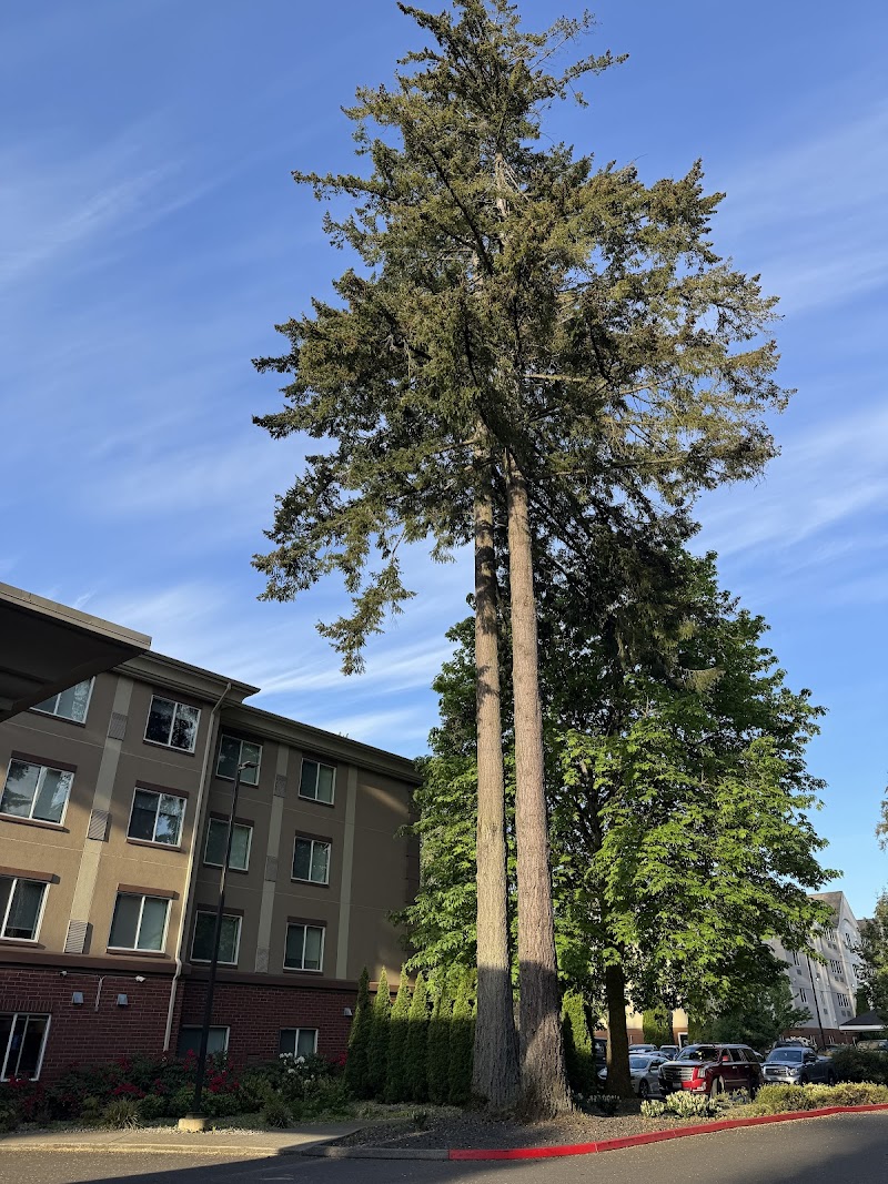 Holiday Inn Express & Suites Lacey in Olympia, Washington, United States