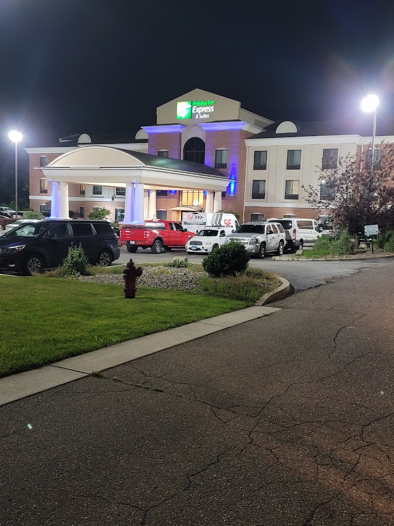 Holiday Inn Express & Suites Niles in Niles, Michigan, United States
