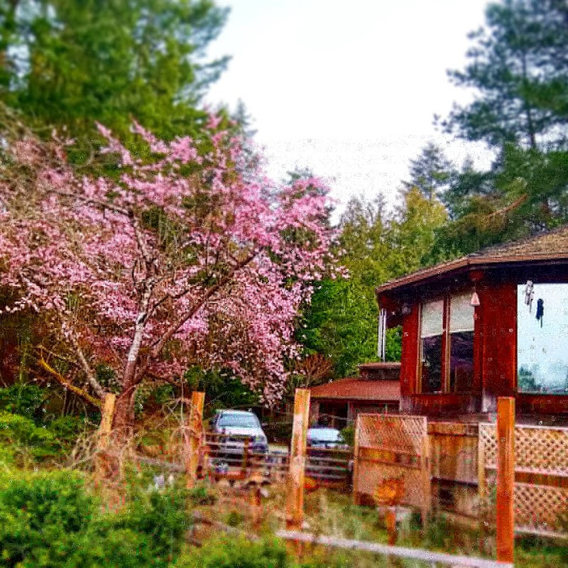 Holly Lane Gardens in Bainbridge Island, Washington, United States