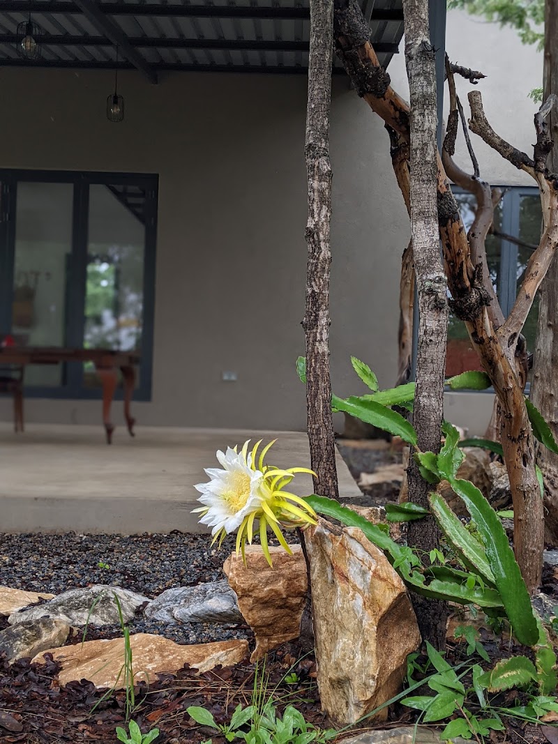 Honey Lodge in Choma, Zambia