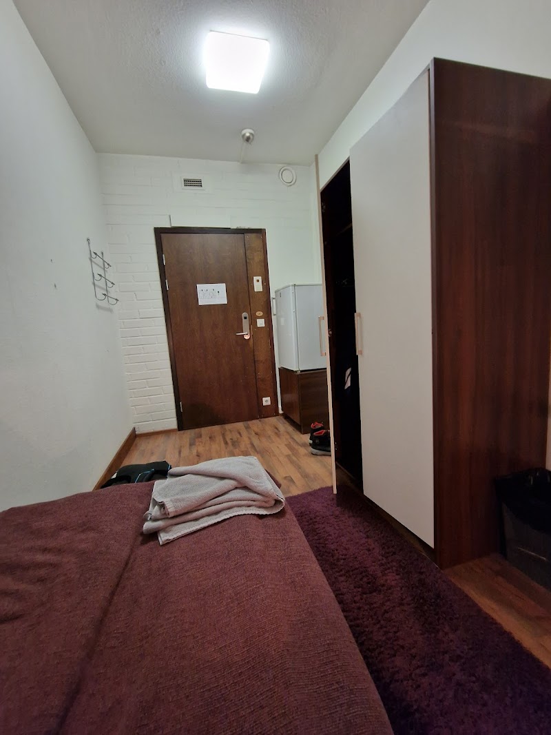 Hotel Hopeaniemi in Vihti, Finland