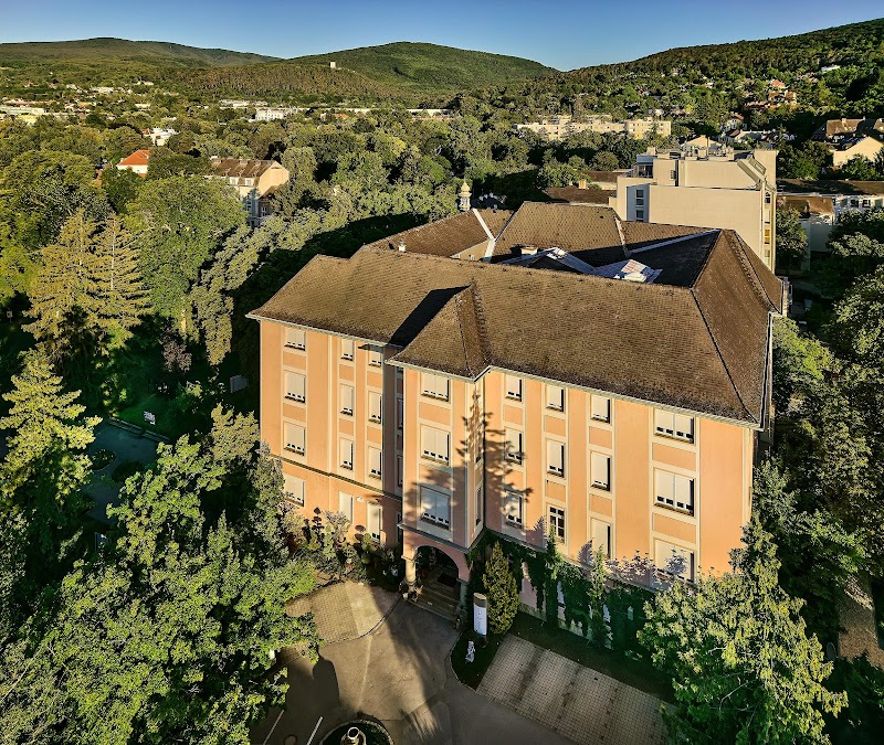 Hotel Schloss Weikersdorf Residenz & Spa in Baden, Austria