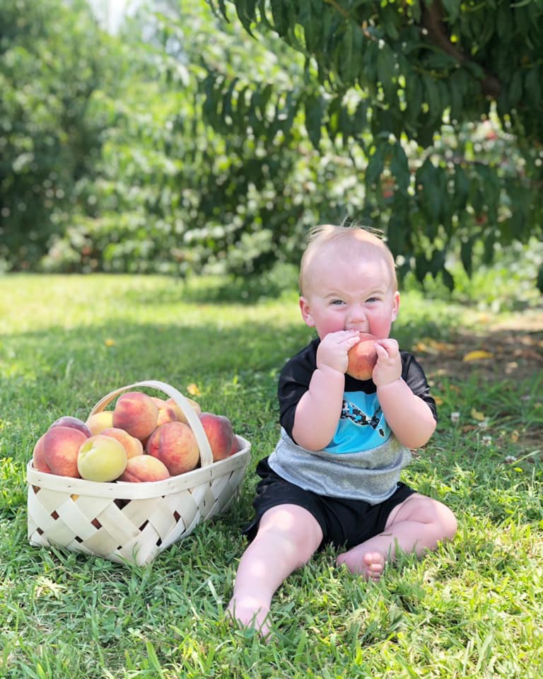 Jeter Mountain Inn in Hendersonville, North Carolina, United States