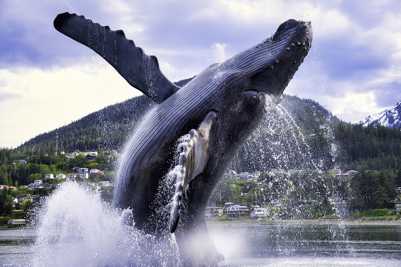 Juneau Hotel in Juneau, Alaska, United States