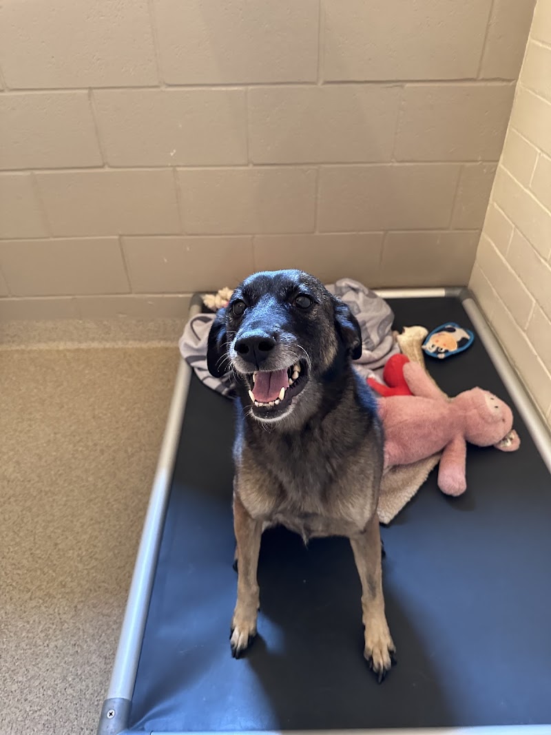 Kickapoo Creek Ranch & Retreat in Canton, Texas, United States