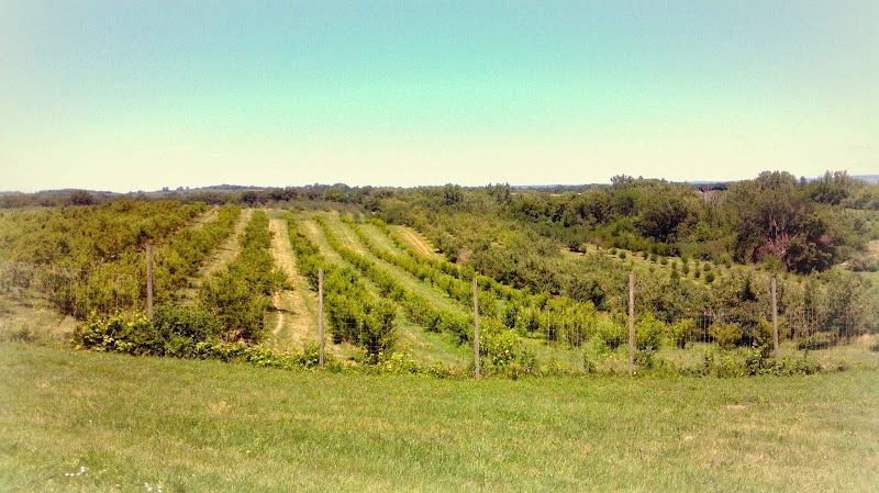 Kimmel Orchard & Vineyard B&B in Nebraska City, Nebraska, United States