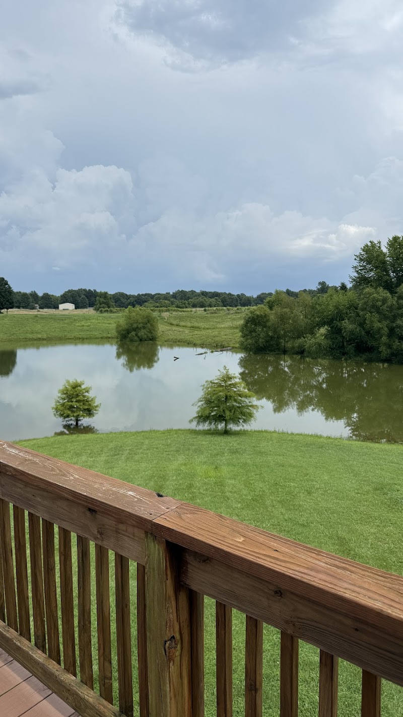 Kite Hill Vineyards in Carbondale, Illinois, United States