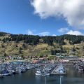 Kodiak Compass Suites