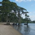 Lake End Park Cabins & RV Park
