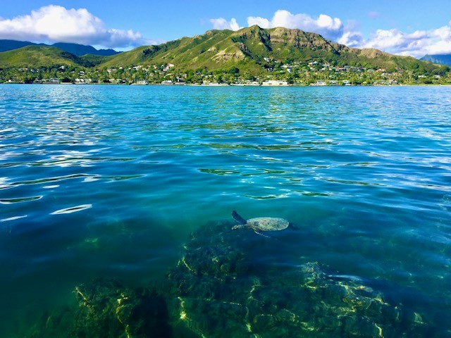 Lanikai Beach Rentals in Kailua, Hawaii, United States