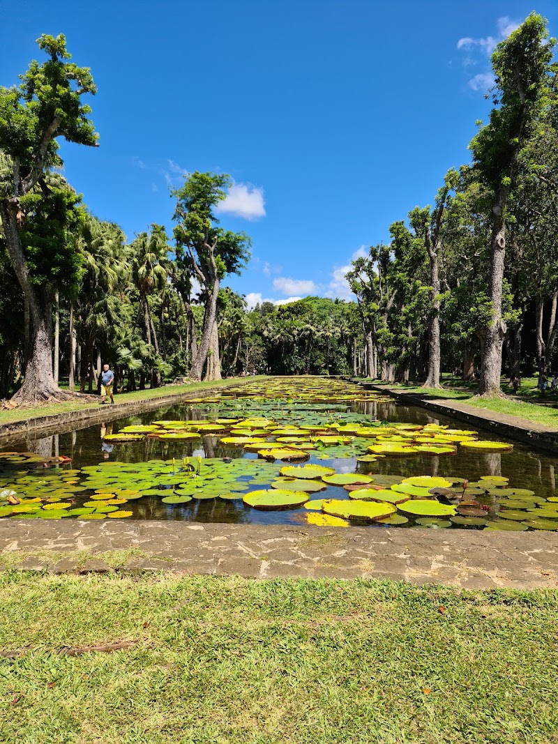 Le Jardin de Pamplemousse in Namur, Belgium