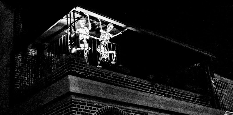 Lefferts Manor in Brooklyn, New York, United States