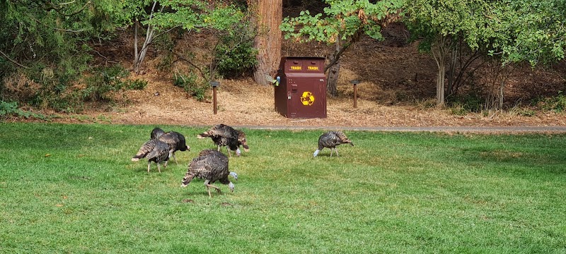 M Ashland in Ashland, Oregon, United States