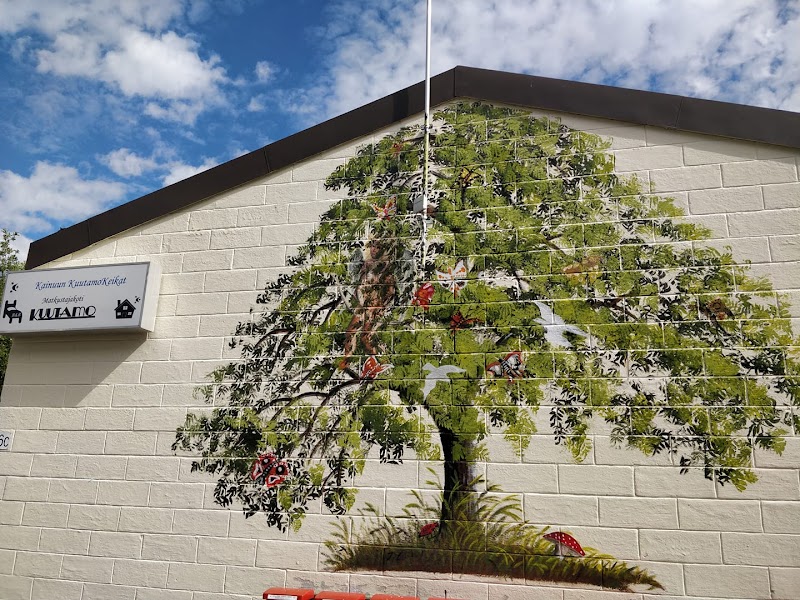 Matkakoti Kuutamo in Lieksa, Finland