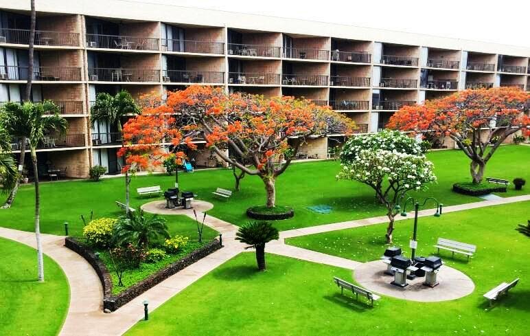 Maui Sunset in Kihei, Hawaii, United States