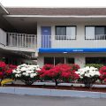 Motel 6 Eugene North – Springfield