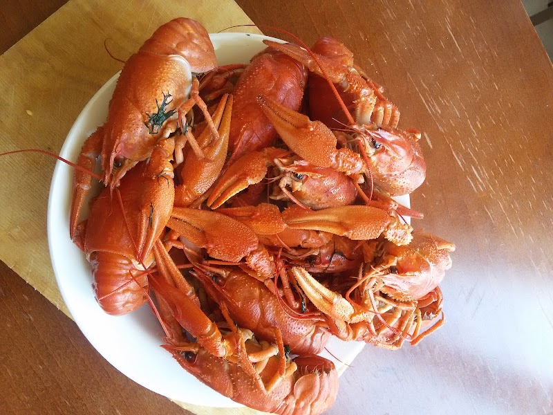 Nadezhda Guest House in Kabwe, Zambia