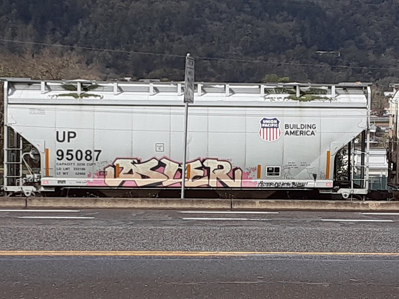 Nite Inn Motel in Eugene, Oregon, United States