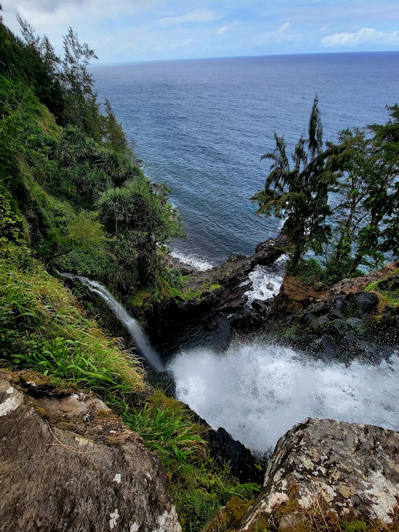 Papa'Aloa in Hilo, Hawaii, United States